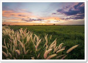 
                  
                    Load image into Gallery viewer, WILD GRASS - KR014
                  
                