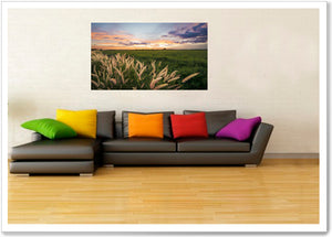 
                  
                    Load image into Gallery viewer, WILD GRASS - KR014
                  
                