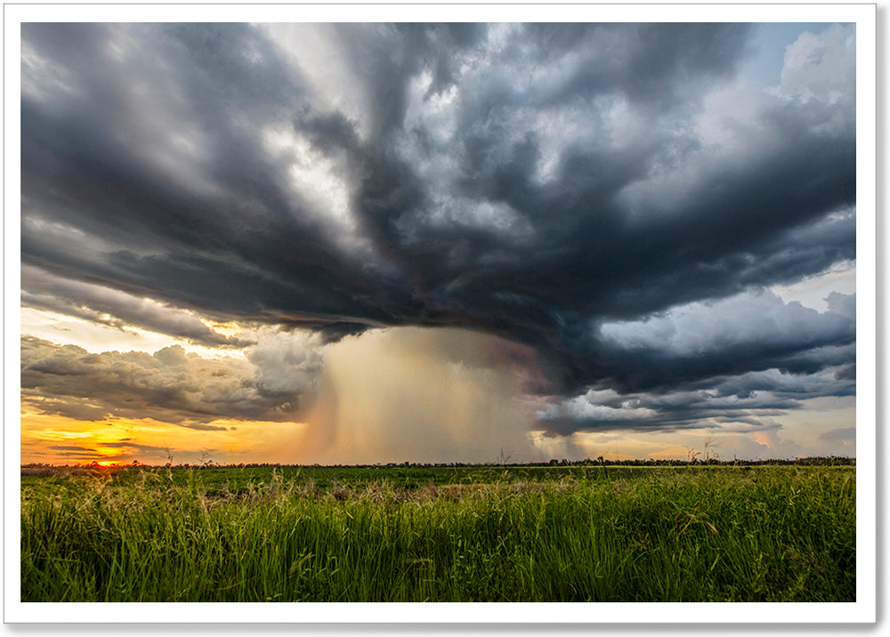 
                  
                    Load image into Gallery viewer, WET SEASON STORM - KR042
                  
                