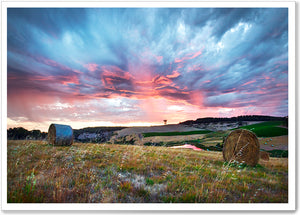 
                  
                    Load image into Gallery viewer, ADELAIDE HILLS - SA008
                  
                