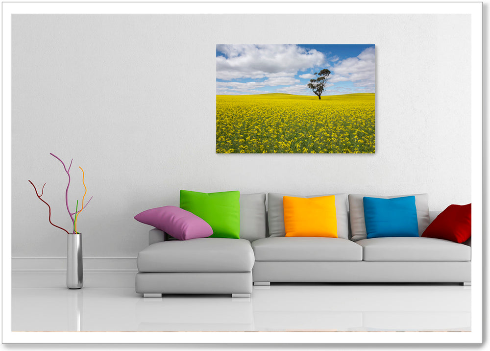 
                  
                    Load image into Gallery viewer, CANOLA FIELDS - SA042
                  
                