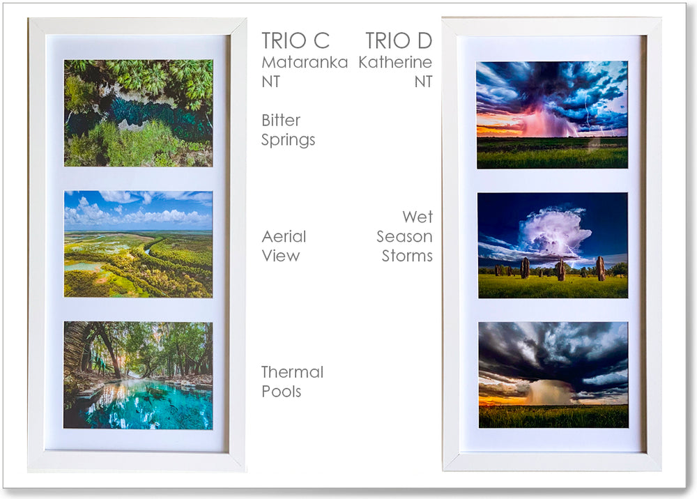 
                  
                    Load image into Gallery viewer, Trio Framed Print
                  
                